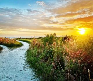 Siesta Beach - Heated Pool - Pet Friendly - Sauna - Zachs Private Beach House - 7