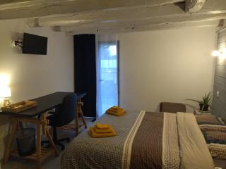 Studio 20 m2 avec salle d'eau et cuisine privatives - 8