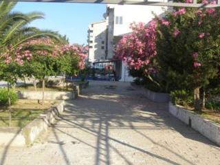 Hostel Marina - Sutomore - 8