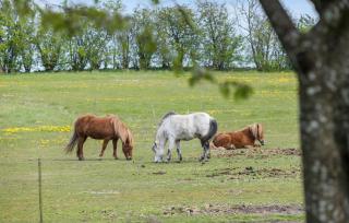 2 Bedroom Beautiful Apartment In Kolind - 2