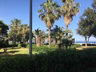 Apartamento 1 Línea playa para 6 en mejor zona de Roquetas de Mar - Roquetas de Mar - 8