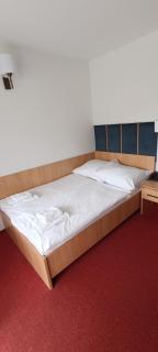Ski Hotel - 5