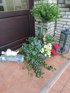 Ferienwohnung "Zwei Finken" in der Blumenstadt Wiesmoor - Wiesmoor - 7