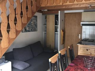 Appartement 3 pièces, 6 pers. à Châtel, proche télécabine, balcon sud-est et équipements complets - FR-1-676-66 - Châtel - 9