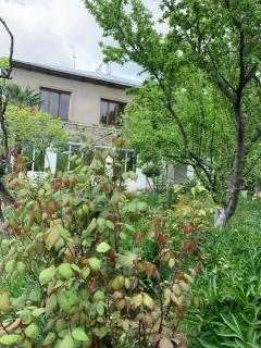 Hotel Villa DavidL - 6