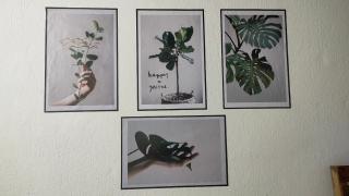 Ourhome - Ly Son - 5