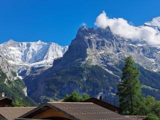 Chalet Engi Apt. 3 for up to 8 People - Grindelwald - 8