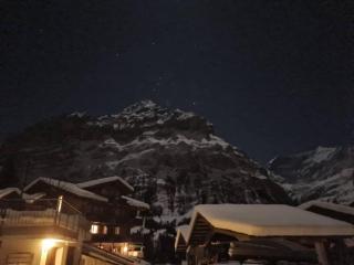 Chalet Engi Apt. 3 for up to 8 People - Grindelwald - 4