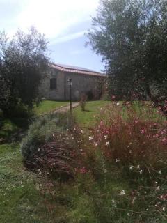 Casale Dinelli - 2