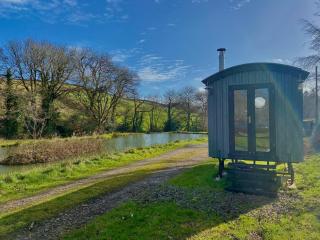 Lakeside Cabin Hot Tub and Fishery - Bideford - 6
