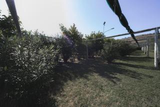 Heliopolis Camping & Village - Pineto - 8