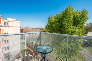 Perla Hradce 303 - 8