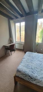 Chambre avec salle de bain - Donzy - 4