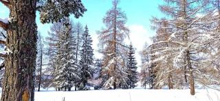Wellness Villa Bobrik - Pribylina - 8