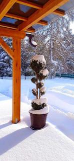 Wellness Villa Bobrik - Pribylina - 6