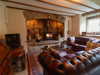Gallivantin Cottage - Leyburn - 0