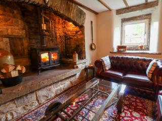 Gallivantin Cottage - Leyburn - 9