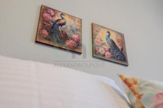 ''The Peacock 53'' - 8