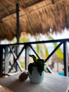 Palenque Beach House - 2