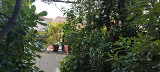 Apartment Maskaric - Cavtat - 9