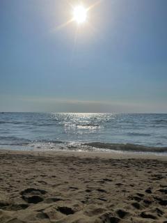 Appartamento sul mare la Conchiglia - 7