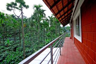 Dadad Gadde Nature Stay - Near to Falls, Trek & Home Food - 6