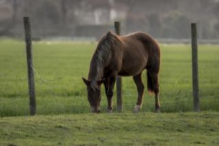 Afbeelding van de locatie