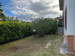 Il nido dell'abete - 5