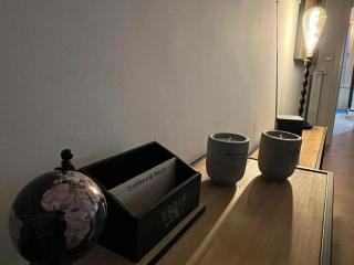 BOUTIQUE HOUSE LA FENICE - Piacenza - 4