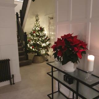 Chynoweth Lodge - Newquay - 4