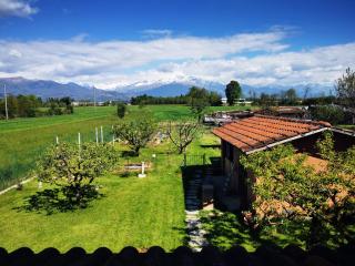 Orto del pettirosso - 2