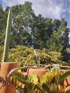 Espacio San Francisco - 4