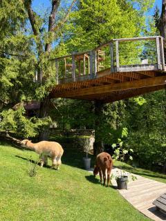 Apartments Kokl - Adults only - Radovljica - 0