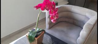Loft fantasia diamant - Le Diamant - 1
