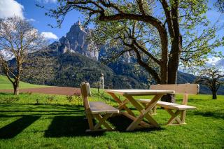 Labe Biohof Oberzonn - Kastelruth - 9