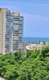 Apartamento Enseada Guarujá - Guarujá - 0