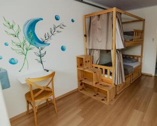Araucária Hostel e Pousada - São Bento do Sul - 4