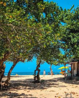 Studio sunwhere in Moule - 8