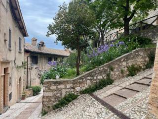 La vecchia vite casa vacanze - 7