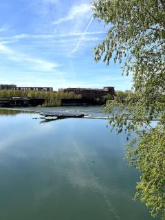 Le Romy - Toulouse - 3