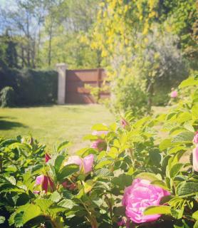 L'Escapade Amoureuse Ardéchoise - 2