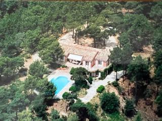 Villa Les Gourdeaux - Roussillon - 6