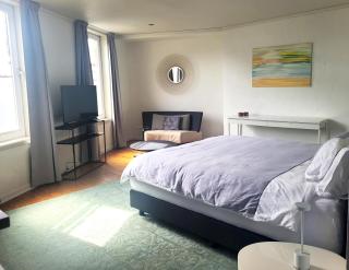 Duplex Apartment - Varsenare - 4