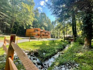 Mountain Cabin in woods 3 minutes to Helen #13 - Helen - 1
