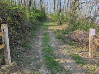Hidden Hollow Campsite at Hocking Vacations - Tent Not Included - Logan - 3