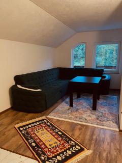 Holiday Villa Abu Ibrahim - Bihać - 4