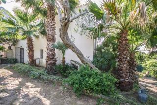 Casa Strelizie - Terrasini - 5