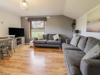 Pengeulan - Machynlleth - 6