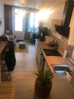 Appartement au coeur du vignoble tonnerrois - Tonnerre - 7