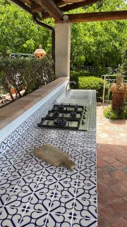 B&B Calandrella - Maratea - 7